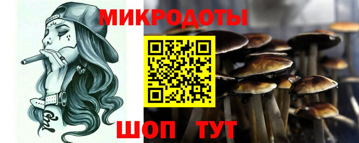 Галлюциногенные грибы ЛСД Чапаевск